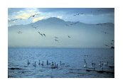 El lago Biwa en Japón