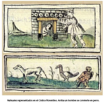 Nahuales representados en el Códice Florentino