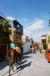 Ciudad de México en la mañana con caballos y caballeros