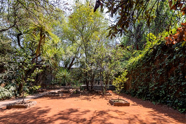 Casa Ortega (jardín)