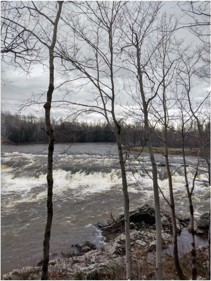 Río de otoño